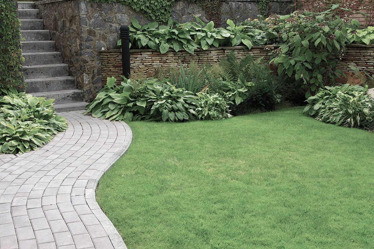 Welcome to Best Choice Landscaping